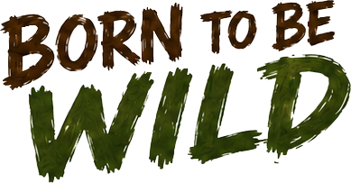 Born To Be Wild